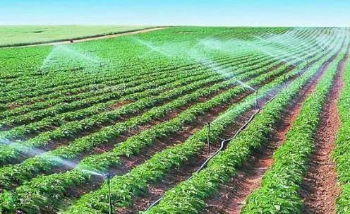 肏毛茸茸黑骚屄视频农田高 效节水灌溉
